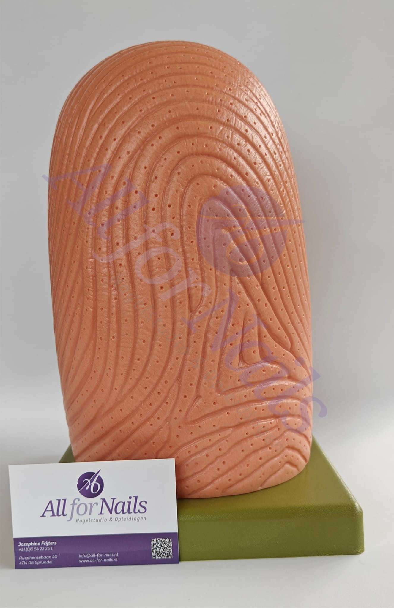 Vingernagel Model - Afbeelding 5