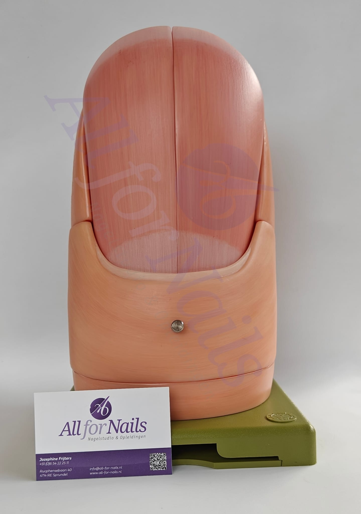 Vingernagel Model